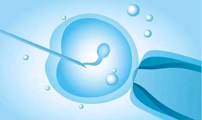 上海失独再生包成功 上海试管婴儿过程费用明细： ‘孕囊数字怎么看男女’