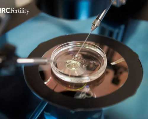 上海有试管代孕公司吗,上海卵巢萎缩能做试管婴儿吗-正规助孕中介