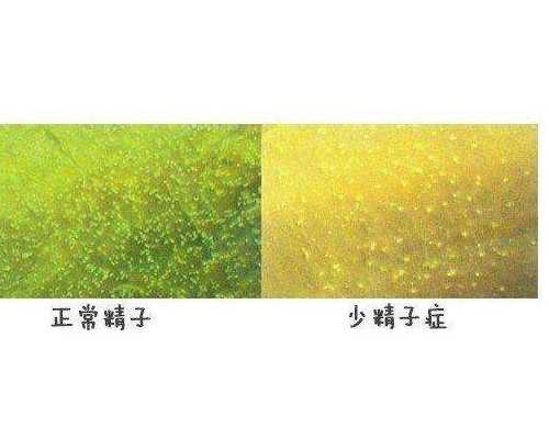 上海第三方代孕公司,上海九院做试管婴儿需要多少钱？