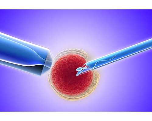 一岁半宝宝饮食食谱（营养均衡的宝宝饮食推荐）