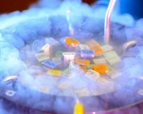 上海试管代怀条件,想知道在上海哪家医院做试管成功率高？