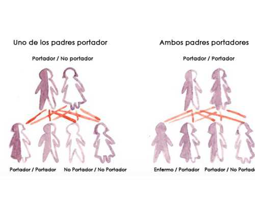 上海供卵试管中心什么价格,上海试管婴儿技术发展如何？