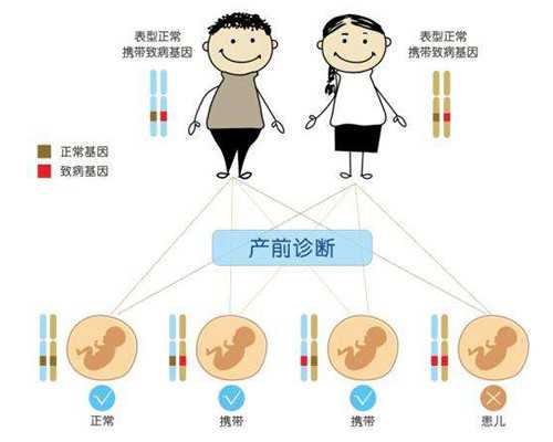 上海供卵代怀产子公司,上海九院做试管婴儿全部费用