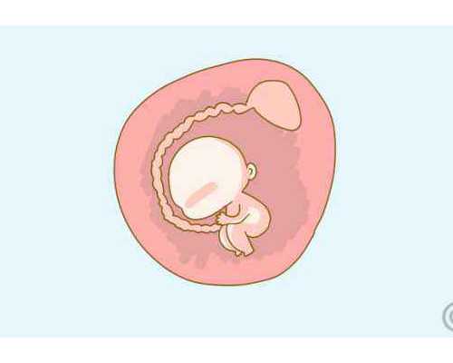 上海试管需要多少钱,上海做试管婴儿需要多少钱