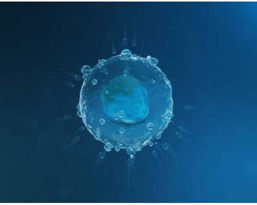 气管炎能根治吗