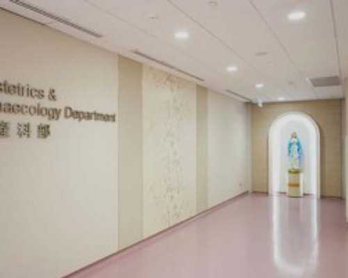 上海零风险代孕价格,想在体内植入两个胚胎，上海中山医院可以做试管吗？成