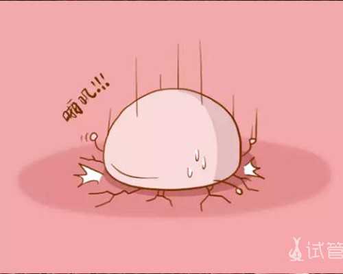 上海供卵代怀机构哪家好,上海九院做试管婴儿全部费用