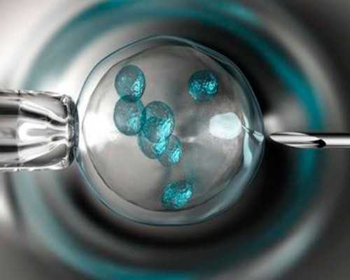 上海代怀孕公司,上海三代试管生儿子费用预估，附费用明细清单一览