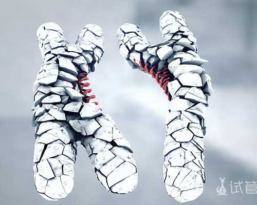 上海代孕首选网站,北京做试管婴儿哪里好 促排治疗期间的注意事项_上海有没有