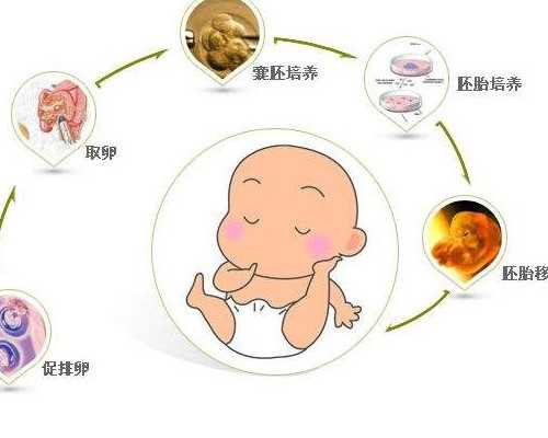 上海公立试管代怀,惊喜！上海试管婴儿成功率最高的医院排名揭晓！