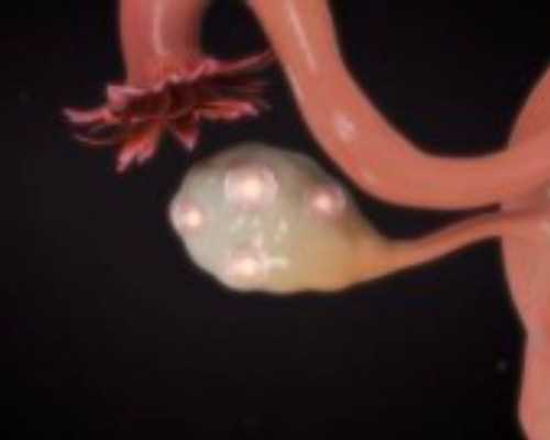 宝格丽激怒全中国：就“台独”道歉却专供大陆 明星代言人集体沉默