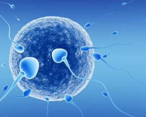 上海九院试管婴儿费用,上海九院人工授精费用