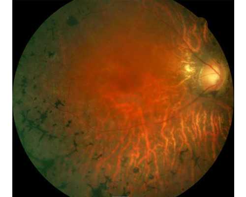 69岁唐双宁被查！光大集团连续两任原董事长今年落马