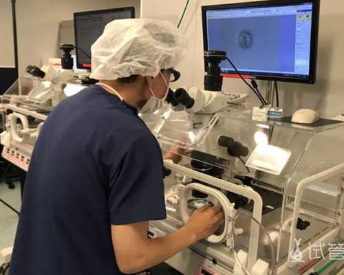 上海靠谱代孕医院,上海复旦大学附属中山医院做试管婴儿费用要多少钱？成功