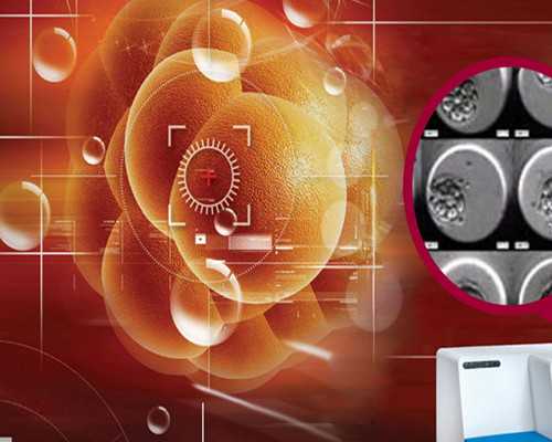 上海供卵试管婴儿包生男孩,上海一妇婴试管婴儿费用