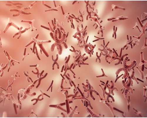 我国现代音乐史上最早的一部清唱剧《长恨歌》，有何结构特点？