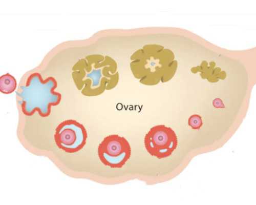 ICU病房里两个多月的坚守 医生胡明：不放弃一丝生的希望