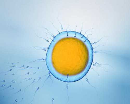 上海供卵生女儿,出国做试管婴儿，做不做双胞胎?-上海供卵试管医院有哪些-促