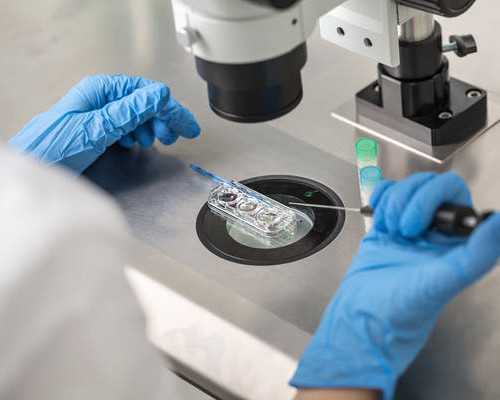 上海代生公司怎样,上海的柬埔寨试管婴儿中介,柬埔寨试管成功率高不