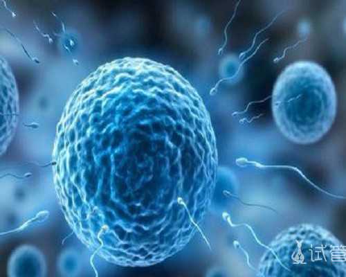 上海代怀公司机构,上海一妇婴做试管的姐妹有吗？(一代和二代试管的价格是多