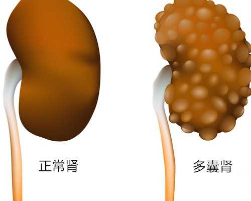 上海代妈公司机构,上海财税网下载中心 上海税务申报软件下载）