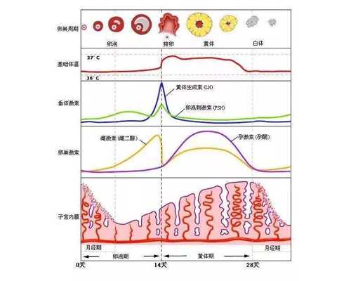广西灵山：检察机关助推基层信息公开规范化