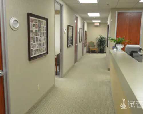 财经观察：德国法院维持柴油车禁令或引发汽车业变革