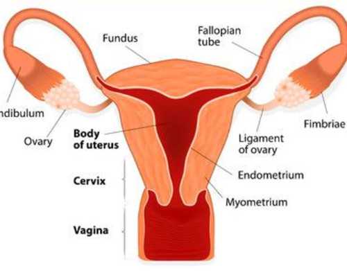 上海哪有代怀,上海三代蛋试管生儿子价目表！