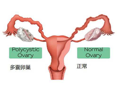 上海代怀三甲医院,2023
上海正规供卵助孕机构汇总，内附成功率