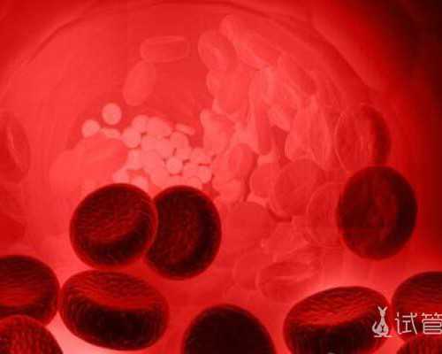 上海代怀试管费用,上海长征医院做三代试管婴儿选性别生龙凤胎要多少钱?