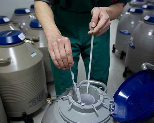 上海知名代孕哪家好,上海供卵试管包生儿子价格多少？附试管助孕生子机构一