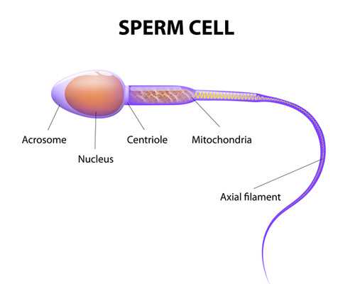 上海供卵代生套餐价格,2024上海哪家医院能做供卵试管婴儿？上海供卵试管去哪