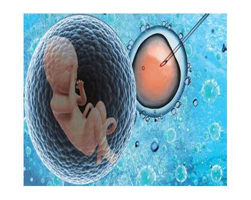 备孕成功生男孩经验大揭秘！