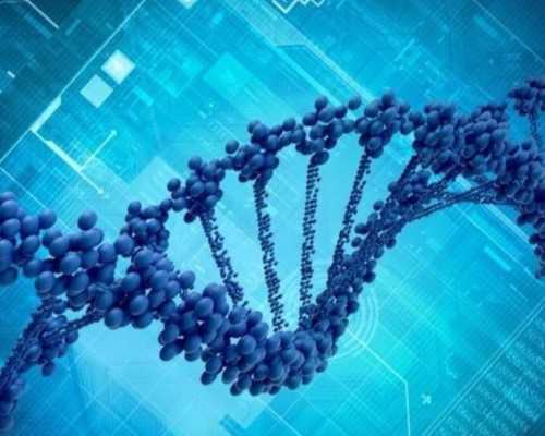 流畅好实力，轻薄高颜值，OPPO Reno9系列会是你的惊喜之选吗？