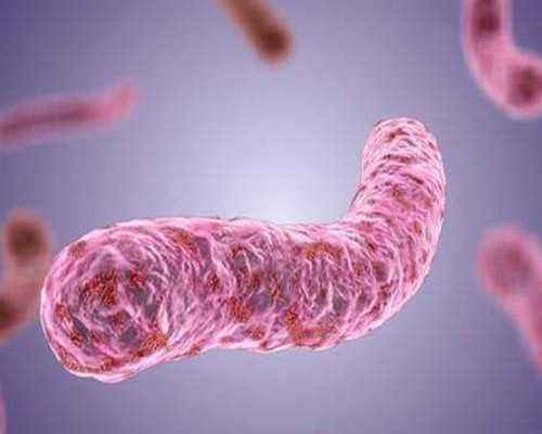 上海三代供卵公司,2024上海单身男士男性赴格鲁吉亚试管助孕的流程解读