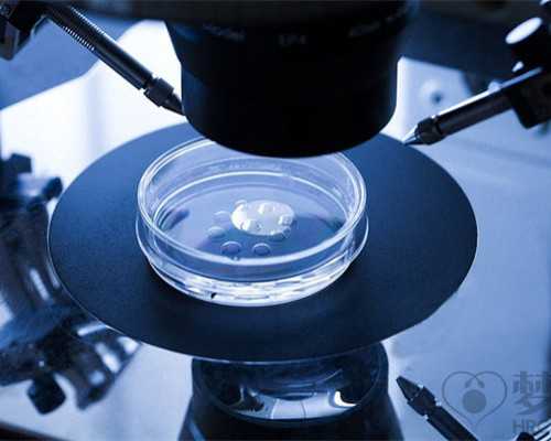 羊水这点事儿，这4点作为孕妈要知道！