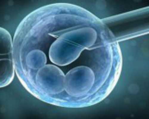 上海代怀医院供卵,2024上海一妇婴试管婴儿攻略大全，附助孕成功率参考