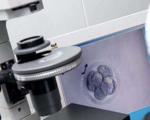 上海靠谱代怀公司,基础卵泡20个做试管婴儿成功率高吗_上海供卵试管双胞胎_上