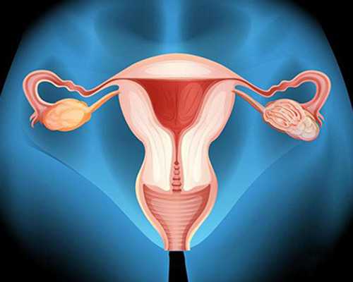 上海供卵试管第二次多少钱,上海永远幸,上海集爱是私立试管医院？80%的人都不