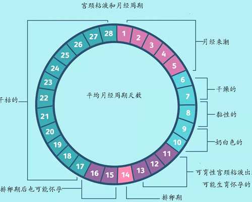 上海做人工授精最好的医院,上海最好的医院