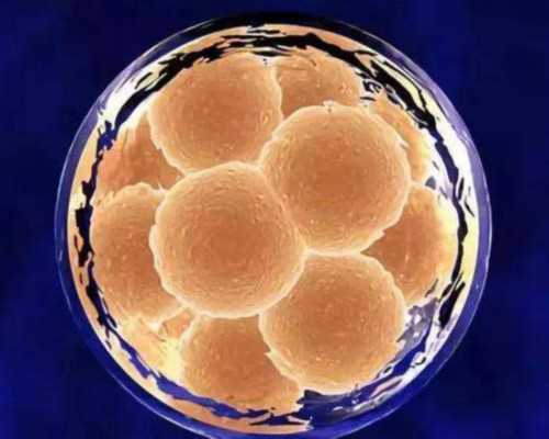 上海哪里有代孕医院,上海要二胎做试管婴儿生男女成功率有多少呢?