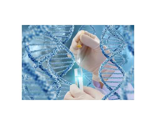 上海正规代怀,上海供卵试管多少钱？包性别吗？咨询南方39助孕中心