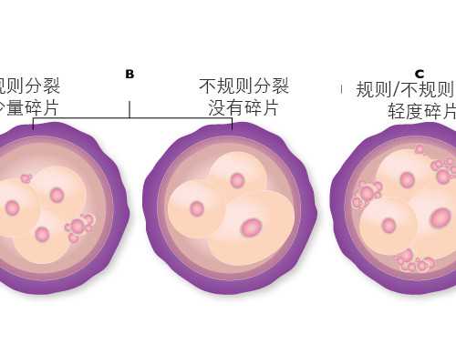 上海最便宜的代孕机构,上海十大助孕机构排名前十名有哪些