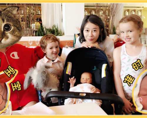 上海代孕医院机构,试管婴儿术前检查一般包括哪些_上海试管供卵公司机构_上海