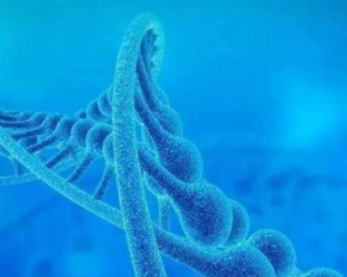 上海哪家代孕公司好,上海供卵试管机构靠谱吗-助孕机构地址在哪