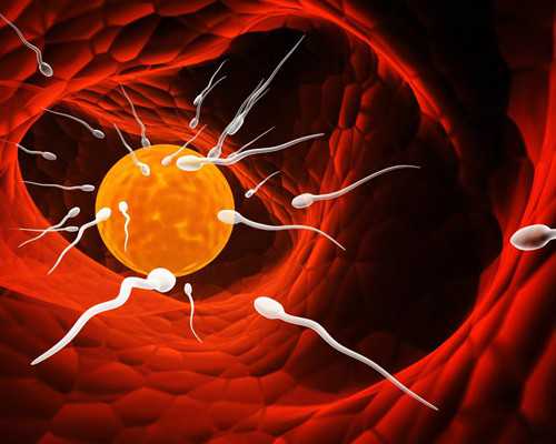 上海代孕套餐,泰国试管婴儿 海外机构:上海助孕生子机构哪家好？