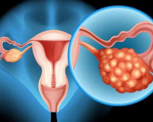 上海供卵费用咨询,上海夫妇去做俄罗斯试管助孕，要取多少卵子比较合适？