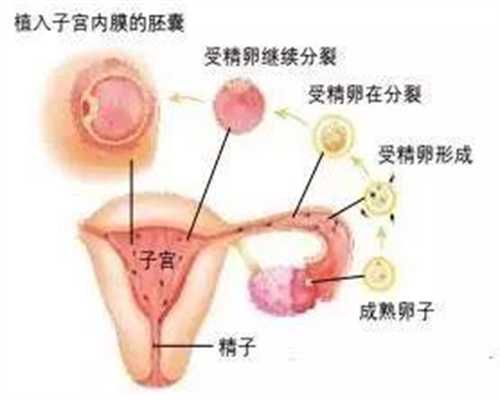 代孕三个月胸闷是怎么回事 代孕胸闷要注意什么