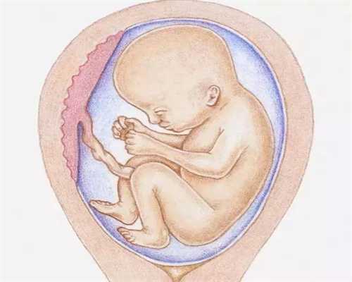 孕九月的养胎要点：肾经主养_重生之代孕30