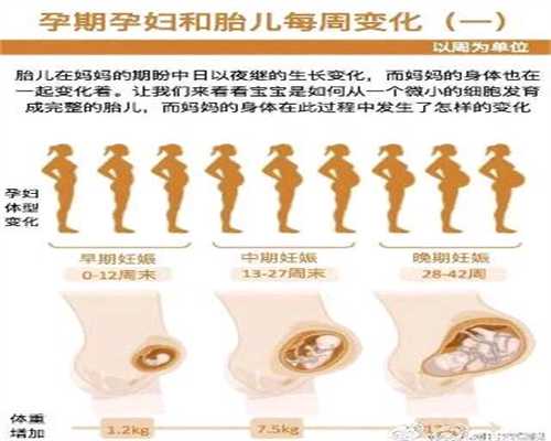 上海代孕试管大概需要多少钱_上海代孕什么价位